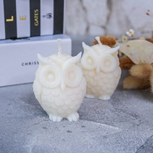 Eule Kerze aus Rapswachs Dekoration Herbst Halloween – Bild 4