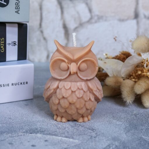 Handmade Süße Eulenkerze Rapswachs Deko Interior Hygge Herbst Halloween – Bild 3