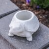 Pflanzschale Schildkröte Beton