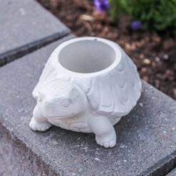 Pflanzschale Schildkröte Beton
