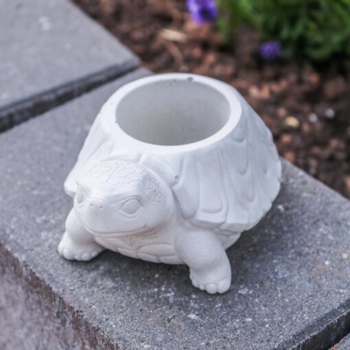 Pflanzschale Schildkröte Beton